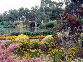 Wittunga Botanic Garden
