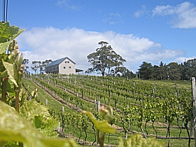 Bruny Island Premium Wines Bar and Grill
