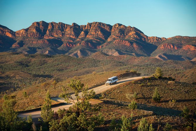 Half-Day Tour into Ikara-Flinders Ranges National Park